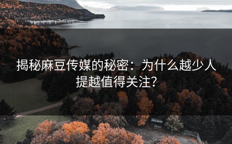 揭秘麻豆传媒的秘密：为什么越少人提越值得关注？